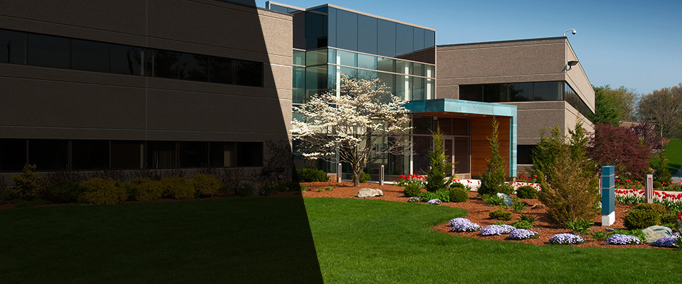 Swarthmore Landscapers