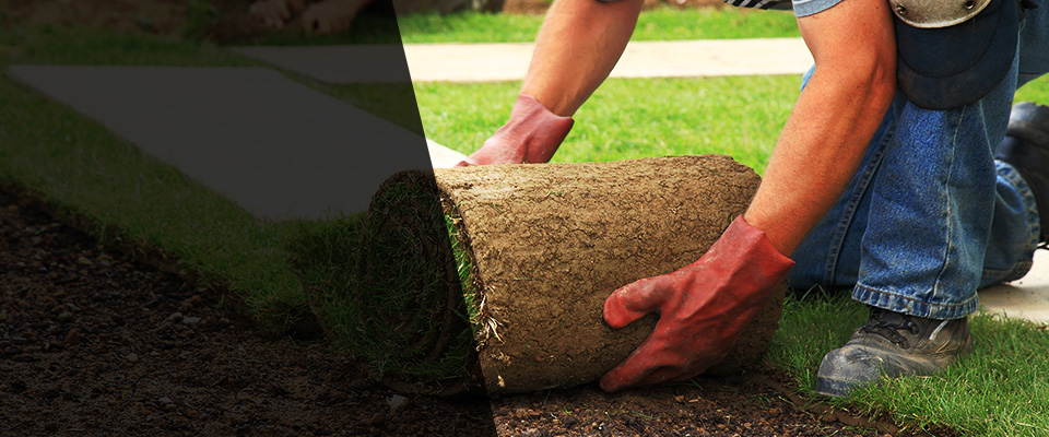 Swarthmore Landscapers